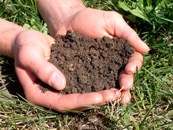 Agricoltura, focus su &ldquo;Fertilit&agrave; delle comunit&agrave; e fertilit&agrave; dei suoli&rdquo;