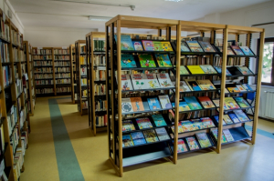 "Leggere &egrave; importante, rifinanziare acquisti delle biblioteche pubbliche"