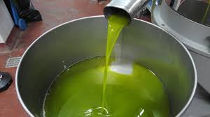 Olionostrum, via ai i corsi per promuovere l'olio EVO di qualit&agrave;