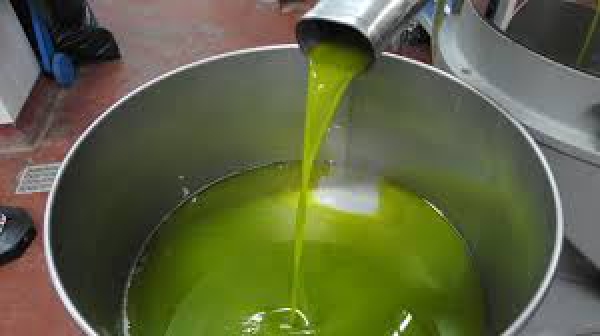 Olionostrum, via ai i corsi per promuovere l'olio EVO di qualit&agrave;