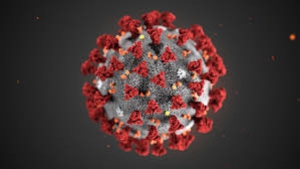 Coronavirus, nota operativa ai Comuni per applicare le misure