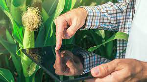 Fondo per gli investimenti innovativi delle imprese agricole