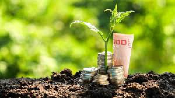 Contributi ai Comuni per efficientamento e sviluppo sostenibile