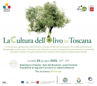 Webmeeting "TEMPORARY USE AND URBAN REGENERATION: DESIGNING PARTICIPATORY FUTURES"