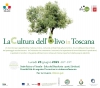 Webmeeting "TEMPORARY USE AND URBAN REGENERATION: DESIGNING PARTICIPATORY FUTURES"