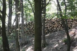 Contratti di filiera e di distretto settore foreste