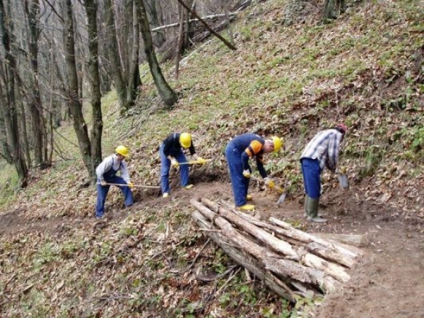 Forestazione, Biffoni a Rossi: "Prevedere risorse certe per il 2017"