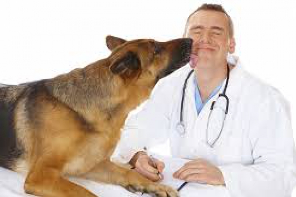 Veterinari, anche i Comuni nel progetto Borsa lavoro assistenziale