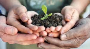 Agricoltura sociale, una innovazione da conoscere e diffondere