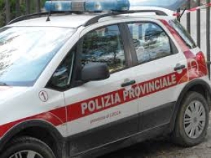 Biffoni: "Entro luglio ricollocato tutto il personale delle Province"