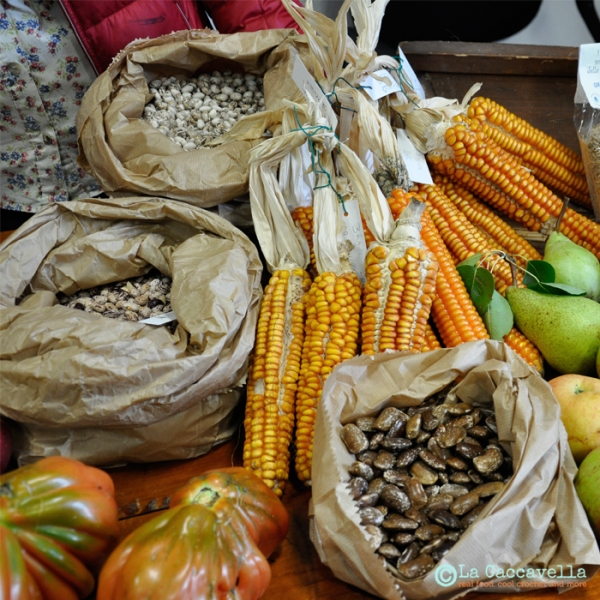 Biodiversit&agrave;, il progetto europeo Progress a Firenze e in Garfagnana