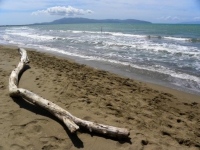 Bando FEAMP - FLAG Golfo degli Etruschi - Misura 1.30