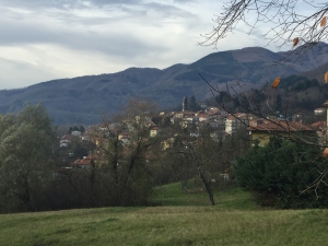 Misure per il sostegno economico e sociale - Comune di San Marcello Piteglio