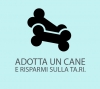 ADOTTA un CANE e RISPARMI sulla TA.RI. - Comune di Roccastrada