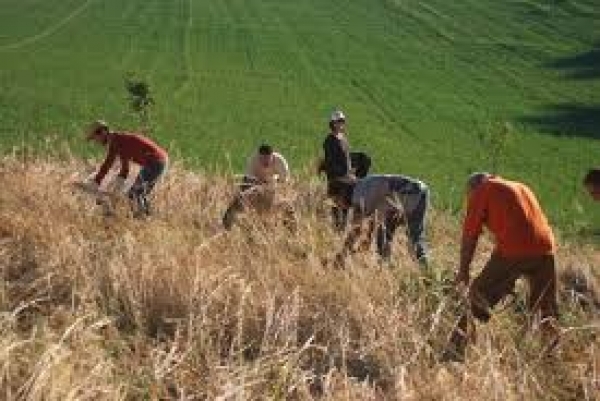 Combattere l'abbandono delle terre: focus sull'Associazione Fondiaria