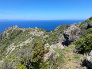Tutta dedicata all'isola di Capraia la prossima tappa di Ambitour