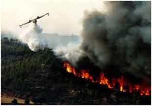 Prevenzione incendi, il bilancio dopo l'estate