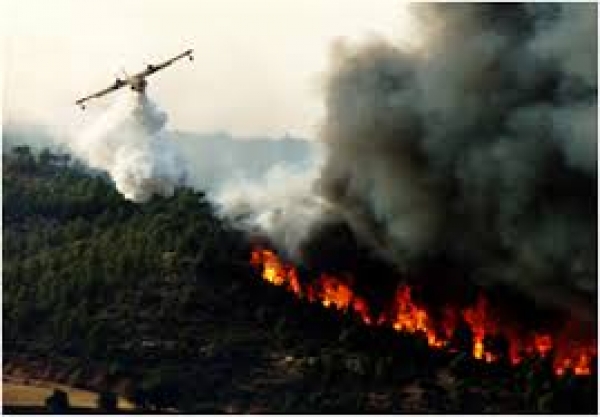 Prevenzione incendi, il bilancio dopo l'estate