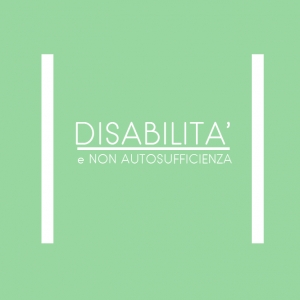Disabilit&agrave; e non autosufficienza