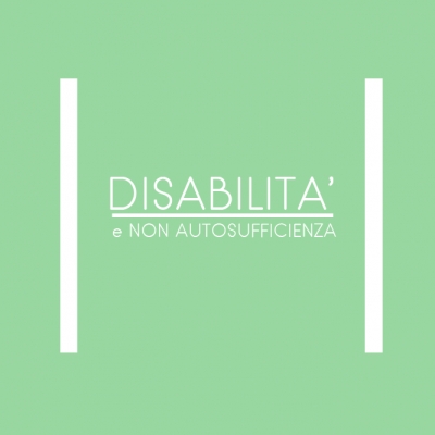 Disabilit&agrave; e non autosufficienza