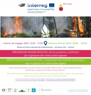 PREVENZIONE INCENDI BOSCHIVI: teorie e pratiche a confronto per la gestione del combustibile vegetale